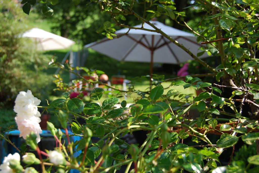 B&B Haus Zur Krone Oberriet Zewnętrze zdjęcie