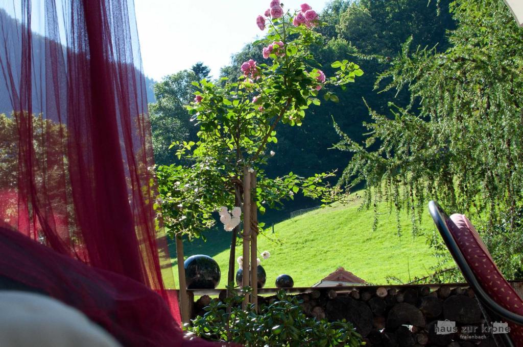B&B Haus Zur Krone Oberriet Zewnętrze zdjęcie